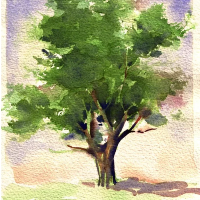 aquarelle-carre-rond
